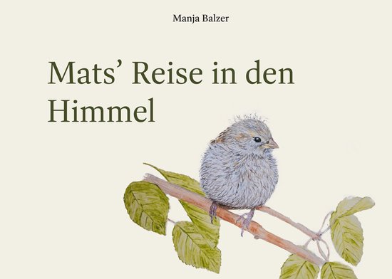 Mats' Reise in den Himmel - cover