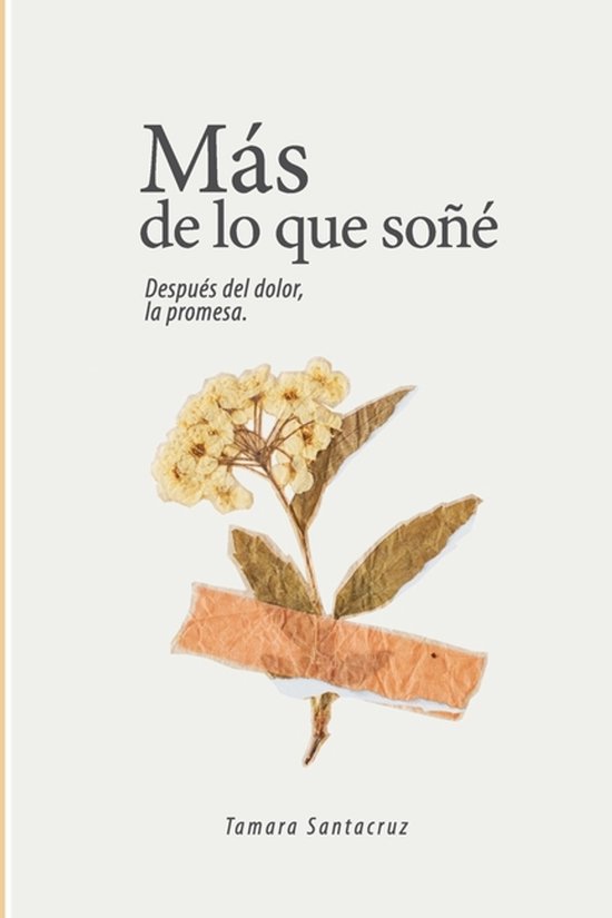 Más de lo que soñé - cover
