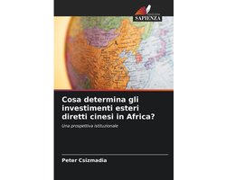 Cosa determina gli investimenti esteri diretti cinesi in Africa?