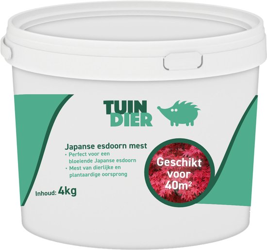 Rothenberger 35698 Bouteille de gaz Mapp