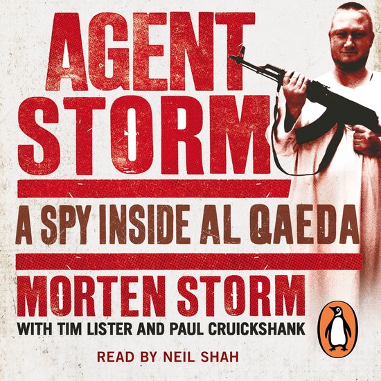 Agent Storm - cover