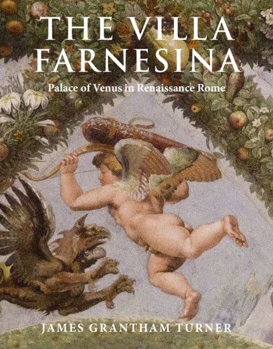 The Villa Farnesina - cover