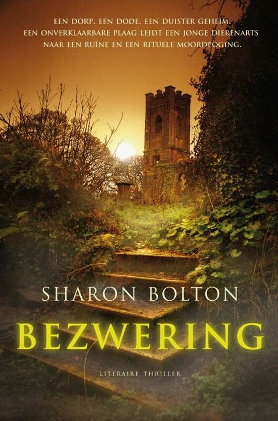 Bezwering - cover