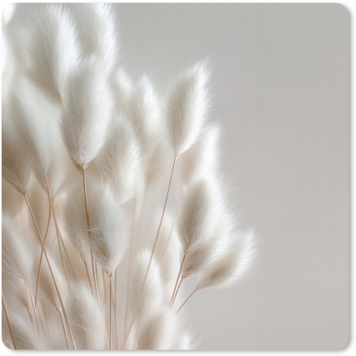 Muismat 30x30 cm - Mousepad Pluimen - Beige - Minimalistisch - Muismatten