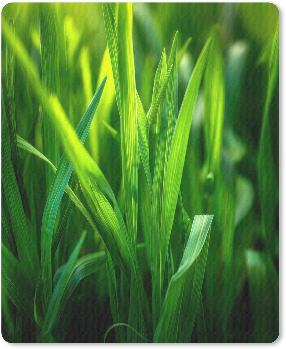 Muismat 19x23 cm - Mousepad Grassprieten - Lichtinval - Groen - Muismatten