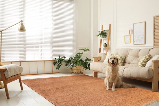 Tapis Acsento Vigo Terracotta - dimensions 200 x 290 cm