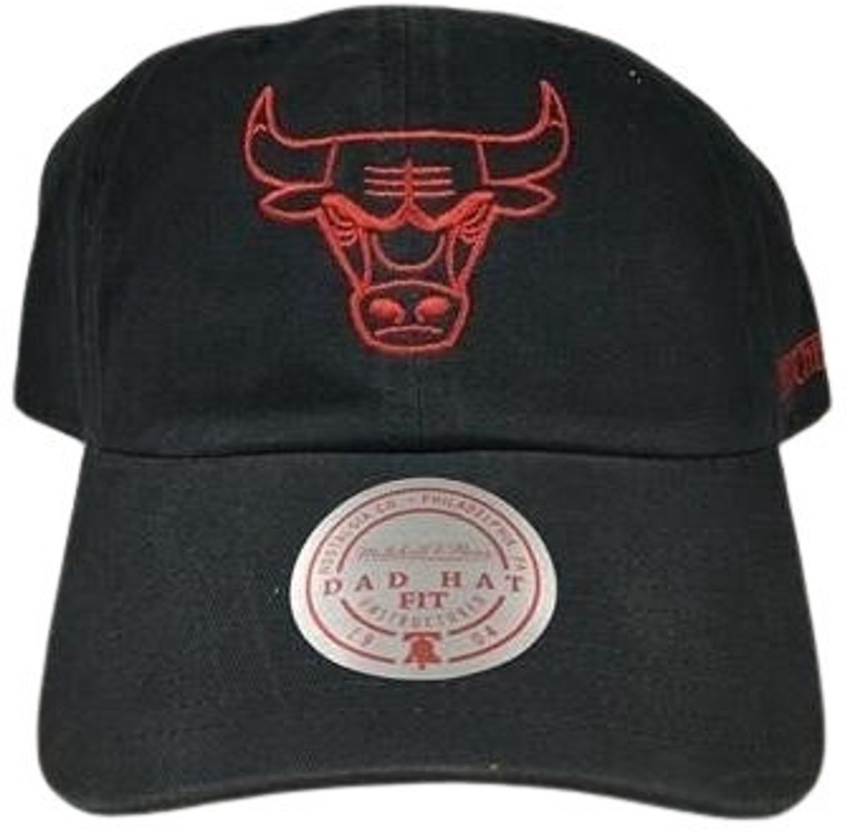 Versleten pet met logo van de Chicago Bulls