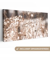 Peinture sur toile 160x80 cm - Décoration murale Fleurs séchées - Wit - Plantes - Décoration murale murale salon - Décoration chambre - Accessoires de chambre - Peintures