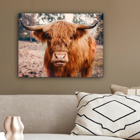 Tableau sur toile - Highlander - Animaux - Vache - Peintures salon - Décoration chambre - Toile toile - 40x30 cm