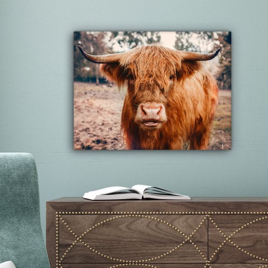 Tableau sur toile - Highlander - Animaux - Vache - Peintures salon - Décoration chambre - Toile toile - 40x30 cm