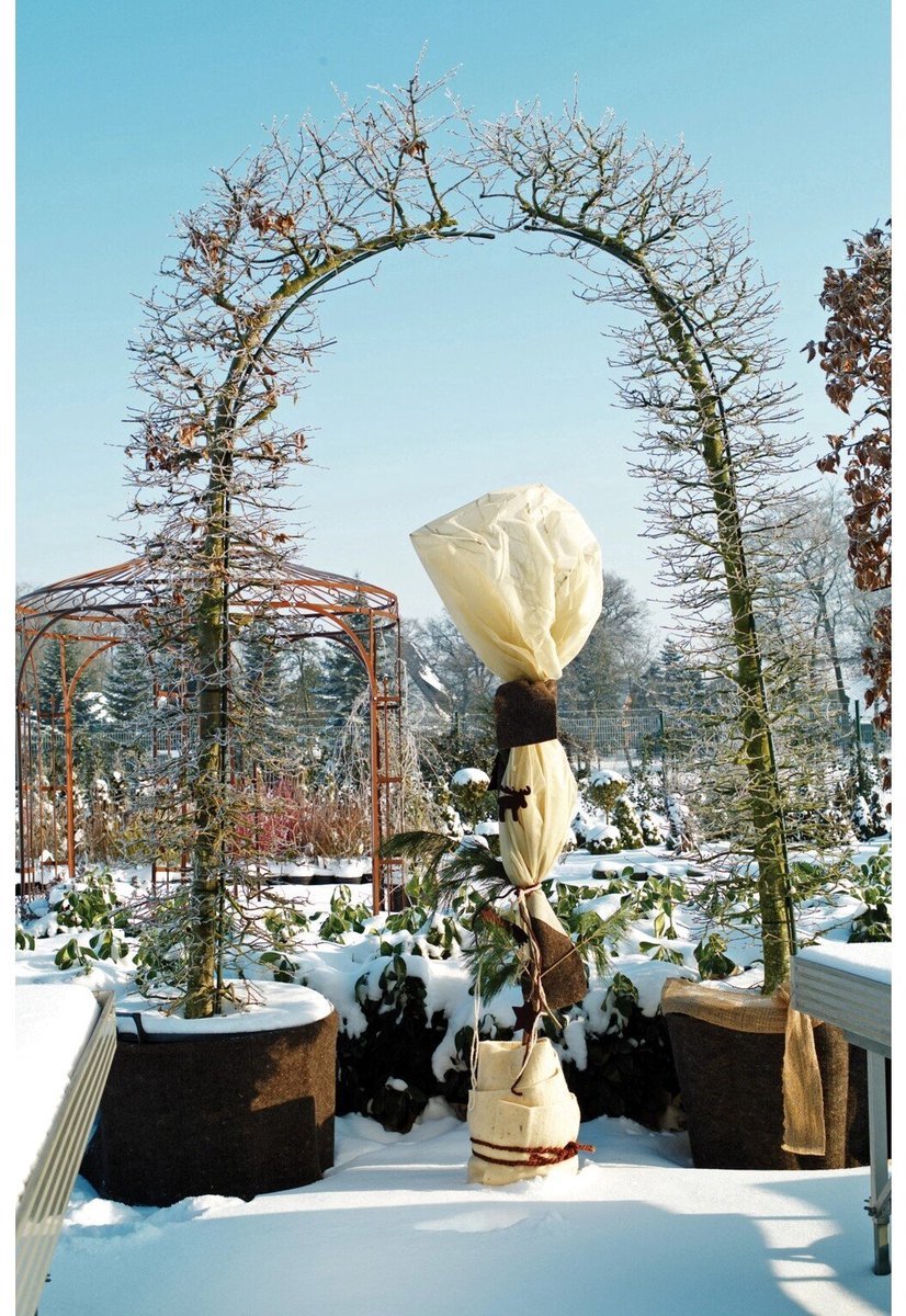 Videx Vliesdoek 1,5 x 5 meter - Plantenbeschermhoes - 2 stuks - 34 gram - Beige
