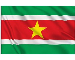 Go Go Gadget - Vlag Suriname - 90x150cm