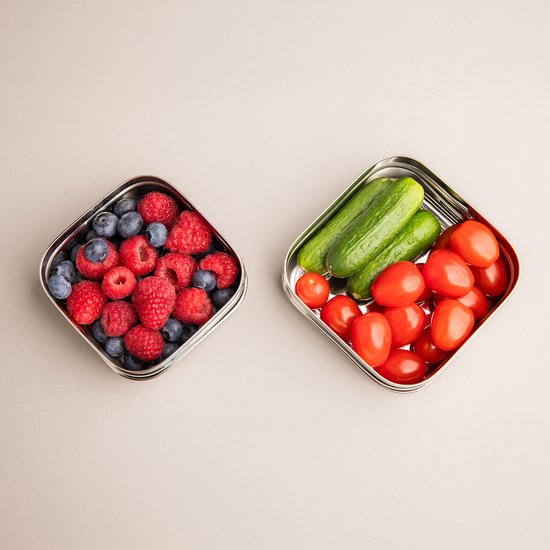 Bols à fruits de Luxe en acier inoxydable - Set de 2 - Boîtes à collation Bols à fruits en acier inoxydable - Enfants - Sans BPA - Talli - Bol à fruits scolaire - Boîte à collation enfant - Boîte à fruits