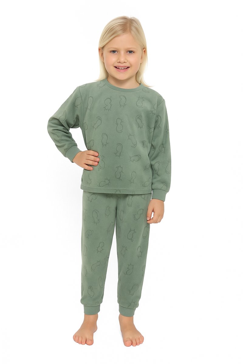 Cocodream - Meisjes Pyjama - Velours - Katjes - Groen - Maat 116