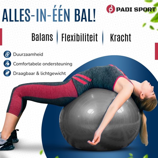 Padisport - Yoga bal - 65 cm - zwangerschapsbal - yoga bal inclusief pomp - fitnessbal - pilates bal - yoga bal zilver - yoga bal 65 cm - yoga - fitness - zilver van Padisport — afbeelding 3