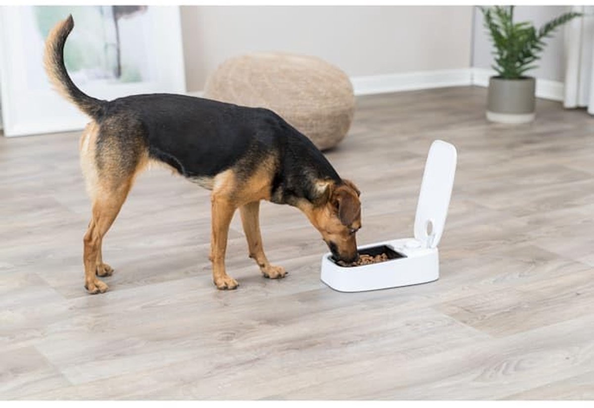 Voederautomaat Voederautomaat 300 ml - afbeelding 2