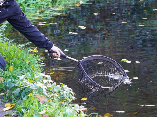 Merkloze Visnet met Magneet, Lichtgewicht en Drijvend — afbeelding 4