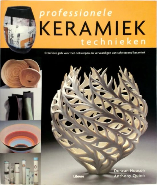 Professionele keramiektechnieken. Creatieve gids voor het ontwerpen en vervaardigen van schitterend keramiek.