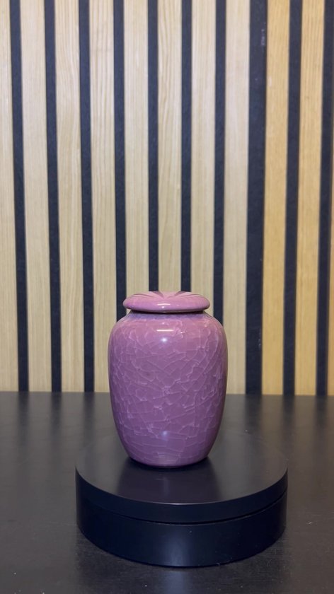 Luxe Begrafenis Urn 200 ML - Crematie Urn - Uniek - Voor Huisdieren of Menselijk As - Crematie As - Mini Urn - Decoratie Urn - Pure Roze