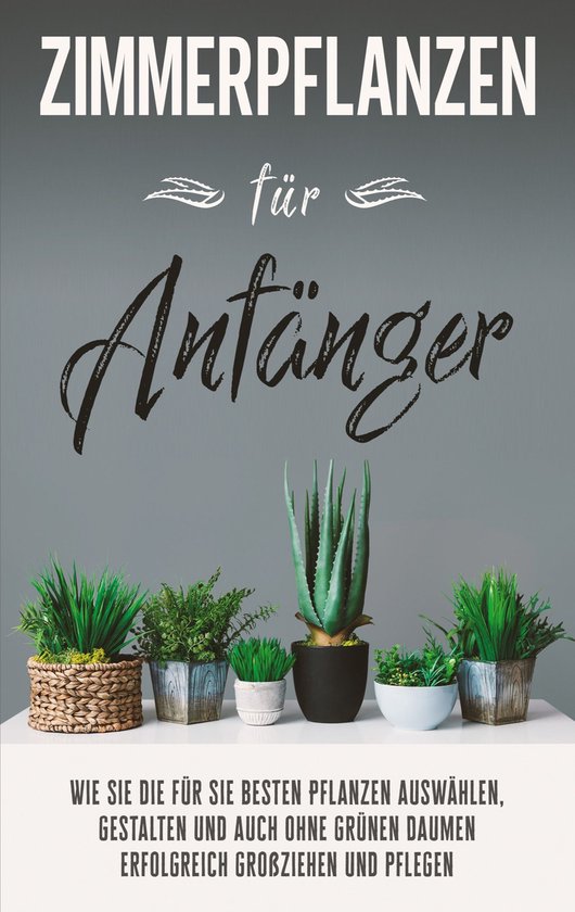 Zimmerpflanzen für Anfänger - cover