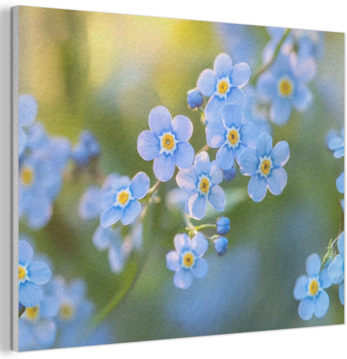Akoestisch wandpaneel 70x50 cm - Vilt schilderij Bloemetjes - Blauw - Vergeet mij nietjes - Akoestische panelen - Geluidsdempende wanddecoratie - Geluidsisolatie woonkamer - Muurdecoratie geluidspanelen