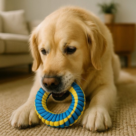 Ballen en werpstokken voor honden / Hondenspeelgoed