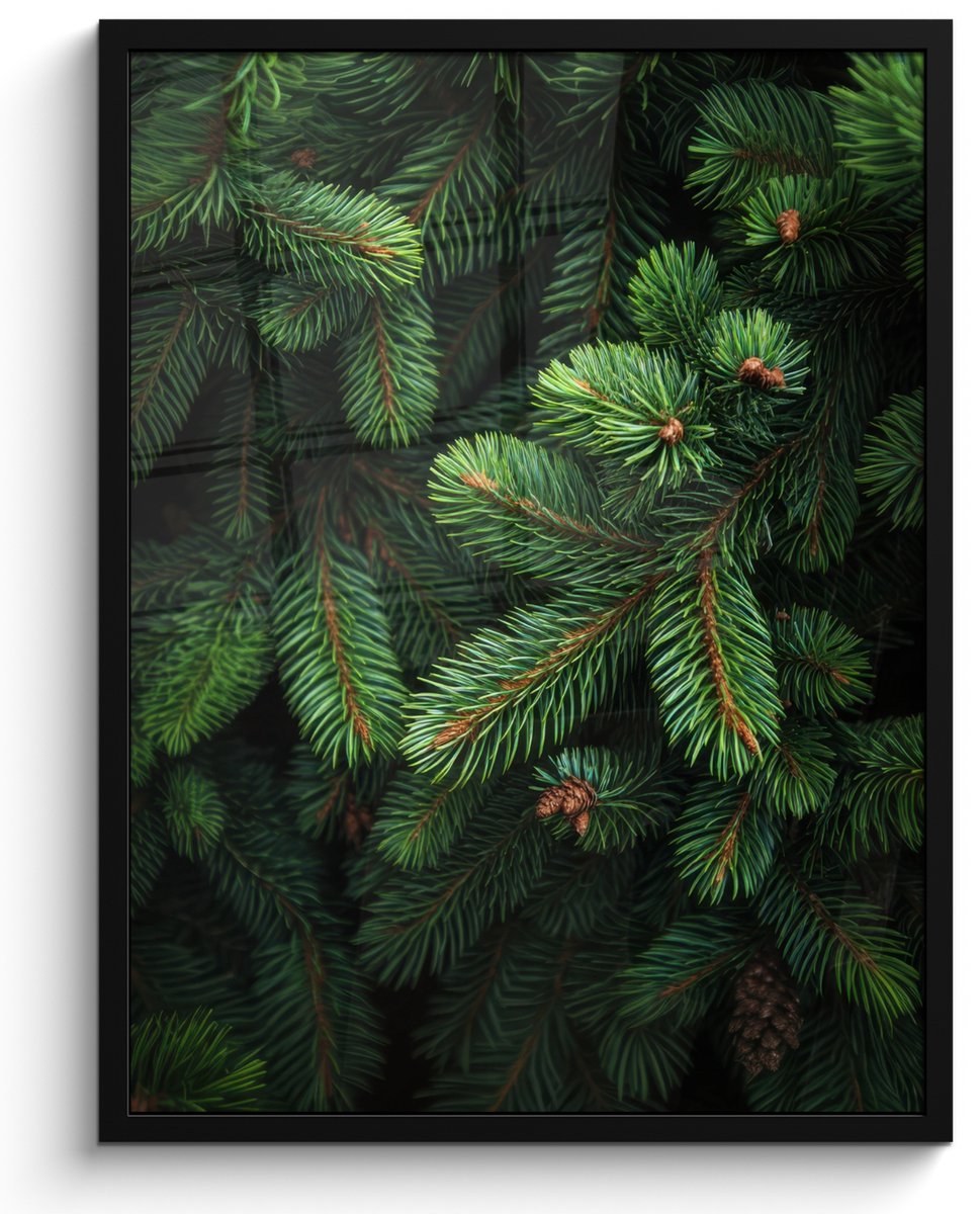FrameYourWall Poster in lijst - Fotolijst 60x80 cm - Posters - Sparrentakken - Knoppen - Naalden - Groen - Posterlijst zwart - Decoratie - Wanddecoratie woonkamer - Muurdecoratie slaapkamer