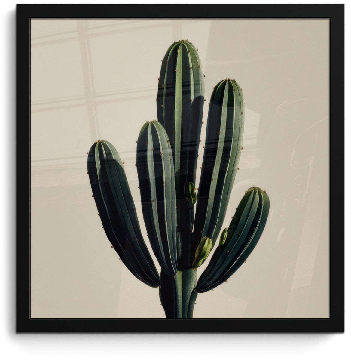 FrameYourWall Poster in lijst - Fotolijst 40x40 cm - Posters - Cactus - Subtiel - Groen - Posterlijst zwart - Decoratie - Wanddecoratie woonkamer - Muurdecoratie slaapkamer