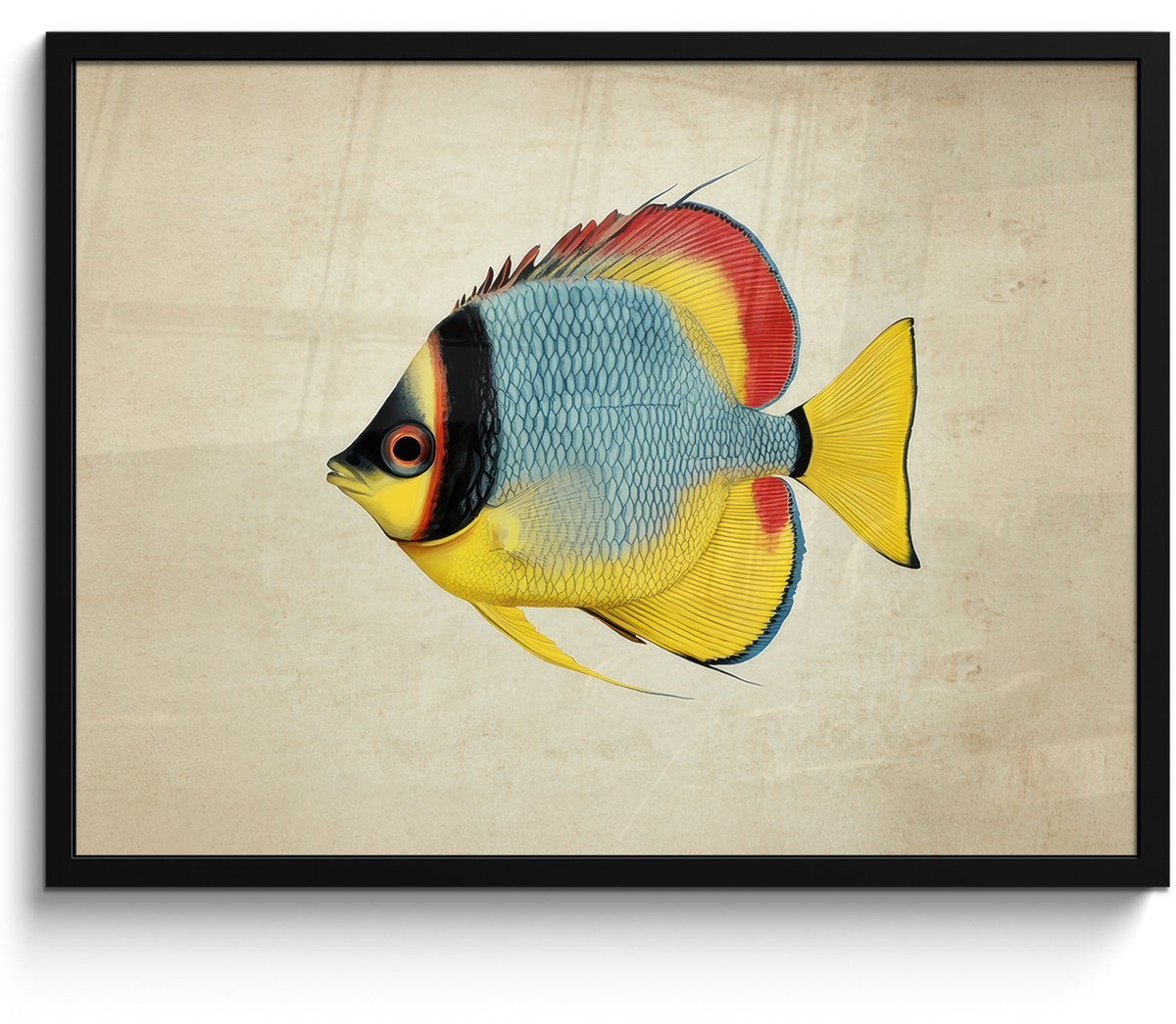 FrameYourWall Poster in lijst - Fotolijst 80x60 cm - Posters - Kleurrijk - Vis - Schubben - Illustratie - Posterlijst zwart - Decoratie - Wanddecoratie woonkamer - Muurdecoratie slaapkamer Vis - Kleurrijk