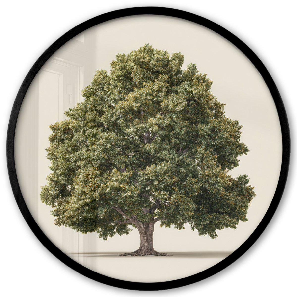 FrameYourWall Poster in lijst Rond - Fotolijst 40x40 cm - Posters - Eikenboom - Groen - Lichte achtergrond - Ronde posterlijst zwart - Decoratie - Wanddecoratie woonkamer - Muurdecoratie slaapkamer