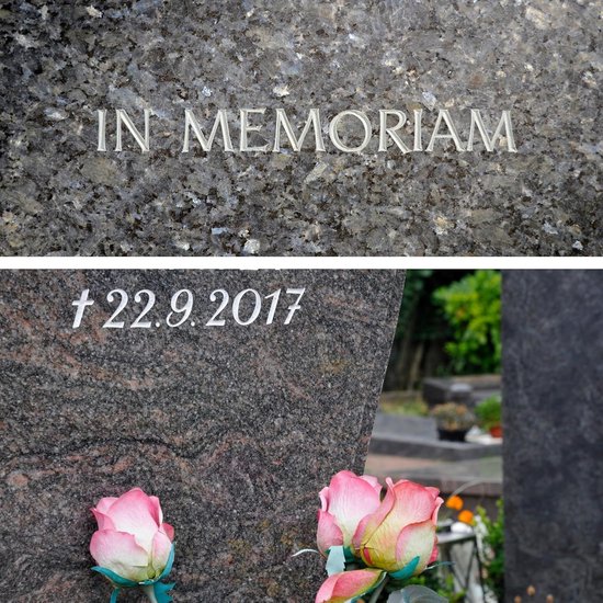 LEVIATAN Set pour la restauration des inscriptions sur les pierres tombales, kit de restauration de pierre tombale, restauration d'inscription, réparation de pierre tombale, renouvellement d'inscription de pierre tombale, marché de l'huile blanche