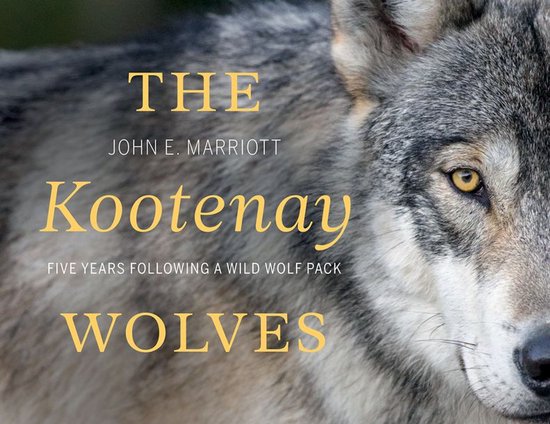 The Kootenay Wolves - cover