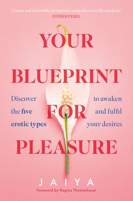 Your Blueprint for Pleasure - cover