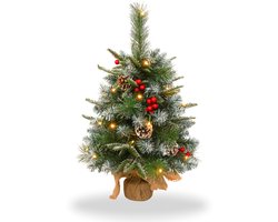 NAIZY Kleine Kerstboom met Lichtjes, 60 cm Mini Kunstkerstboom, Werkt op Batterijen met Decoratieve Lichtslinger, 30 Warm Witte LED's, Kerstboomversiering, Dennenappels + Bessen + Sneeuw