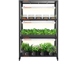 Spider Farmer Plantenrek - 3 × SF600 LED Kweeklampen - Compleet Binnenkweekpakket • Plantenrek met Waterdichte Trays & Wielen
