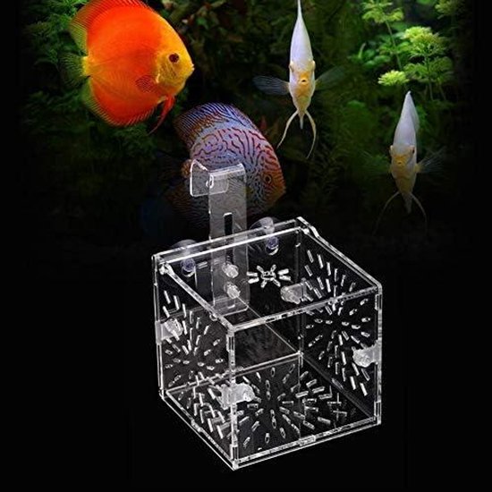 Pssopp Aquarium Isolatie Doos Acryl Breeding Hatchery Kleine Vissen Pssopp Aquarium Isolatie Doos Acryl Breeding Hatchery Kleine Vissen