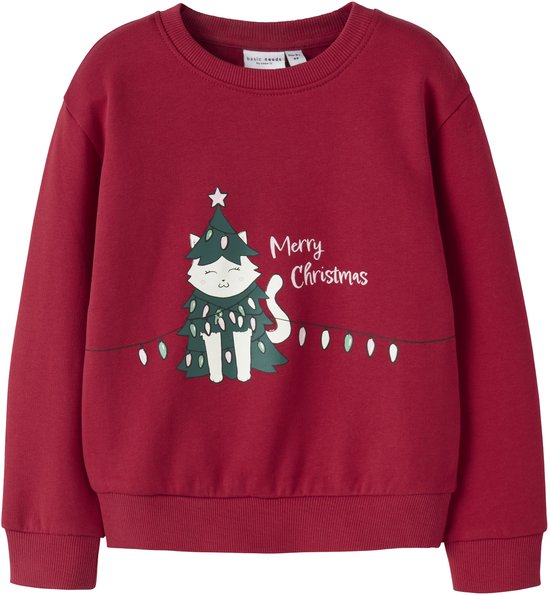 NAME IT - NMFVISMAS LS NREG SWEAT BRU - Meisjes - Sweaters