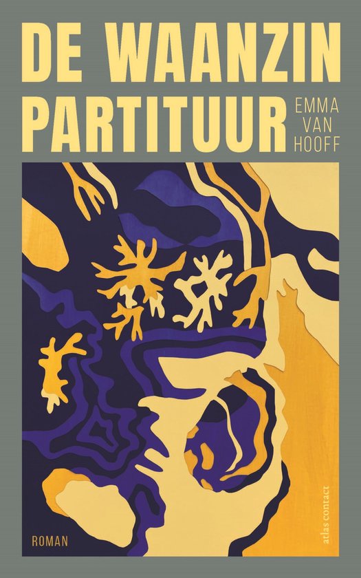 De waanzinpartituur - cover