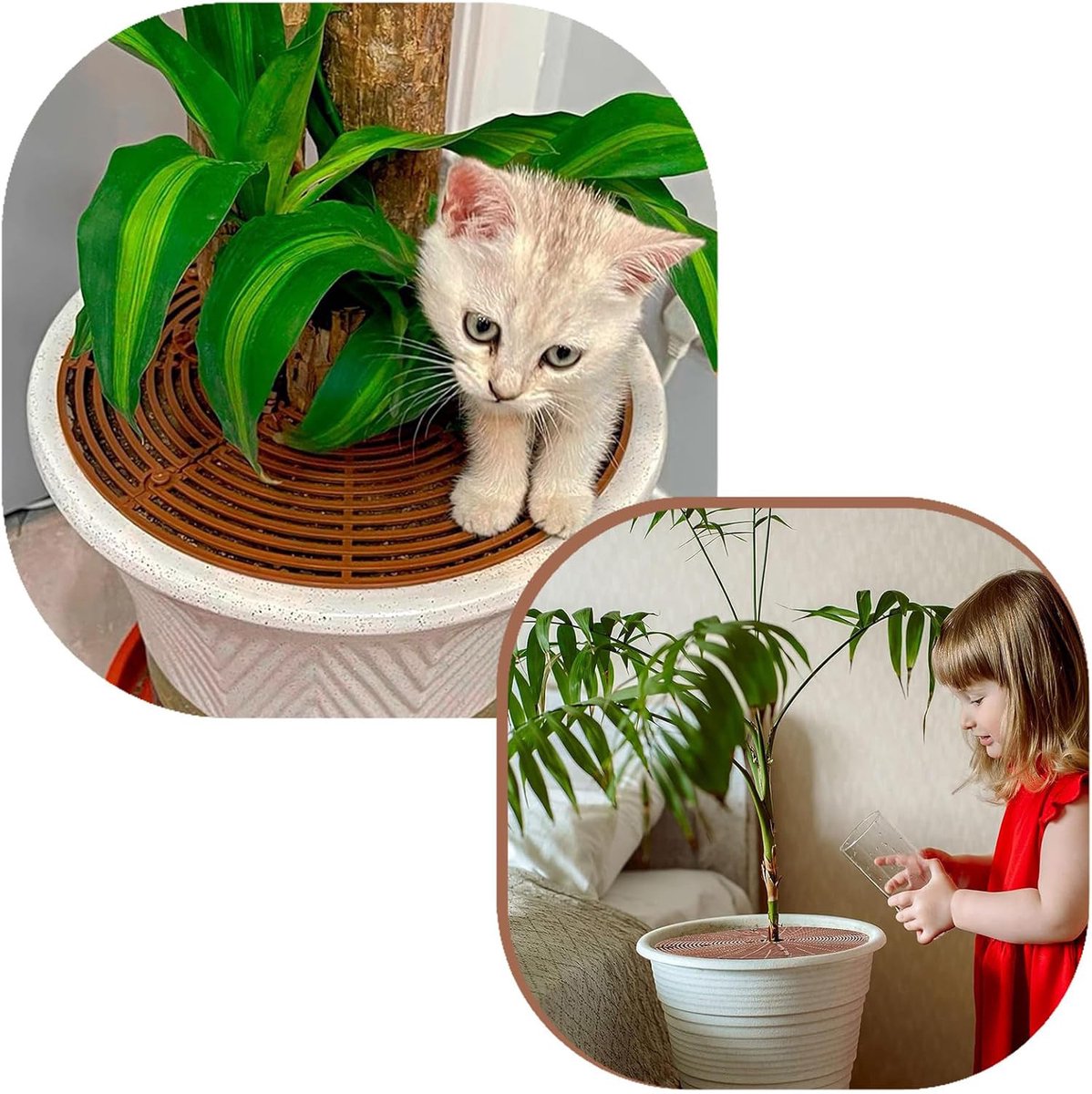 Bloempotroosters – plantenbeschermingsrooster – bloemen - met bouten - voor Beschermt planten tegen katten, kinderen en vuil - knipbaar isolatiegaas -LOUZIR — cadeau in Cadeau-ideeën - foto 3