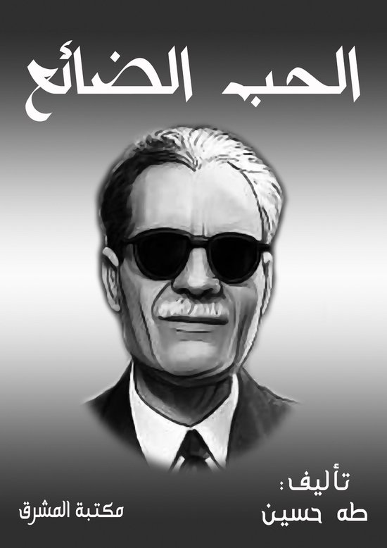 الحب الضائع - cover