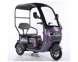 Elektrische Driewieler Panda | 1000W | 25 km/u | 60V 20Ah | Actieradius 67 km