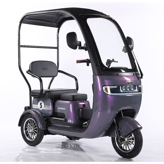 Elektrische Driewieler Panda | 1000W | 25 km/u | 60V 20Ah | Actieradius 67 km