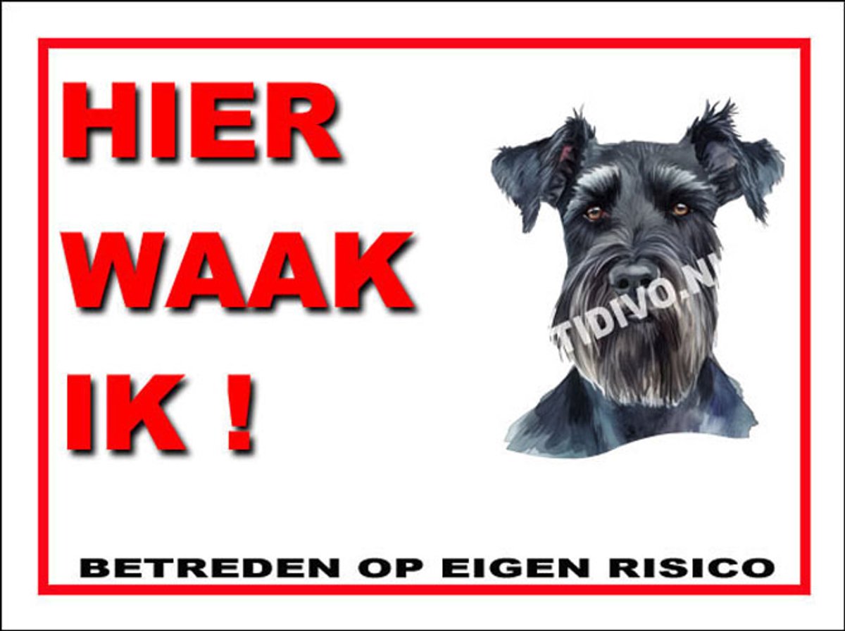 Schnauzer Giant 3 - Met 4 Gaatjes + 4 Pluggen + 4 RVS Schroeven