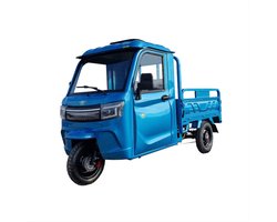 Elektrische Driewieler met Cabine Tuk Tuk – Comfortabel & RDW-Gecertificeerd