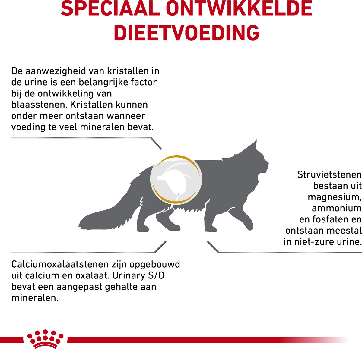 Royal Canin Urinary S/O Moderate Calorie VHN - Kat Droogvoer thumbnail 5