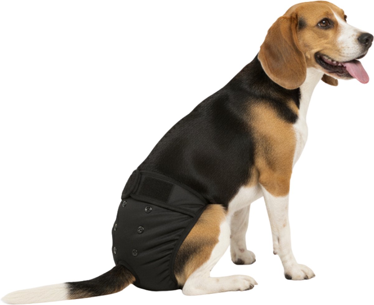 Loopsheidbroekje Hond- L - Hondenluier - Zwart - Verstelbaar in lengte en breedte - Taille opvang 36-46 cm