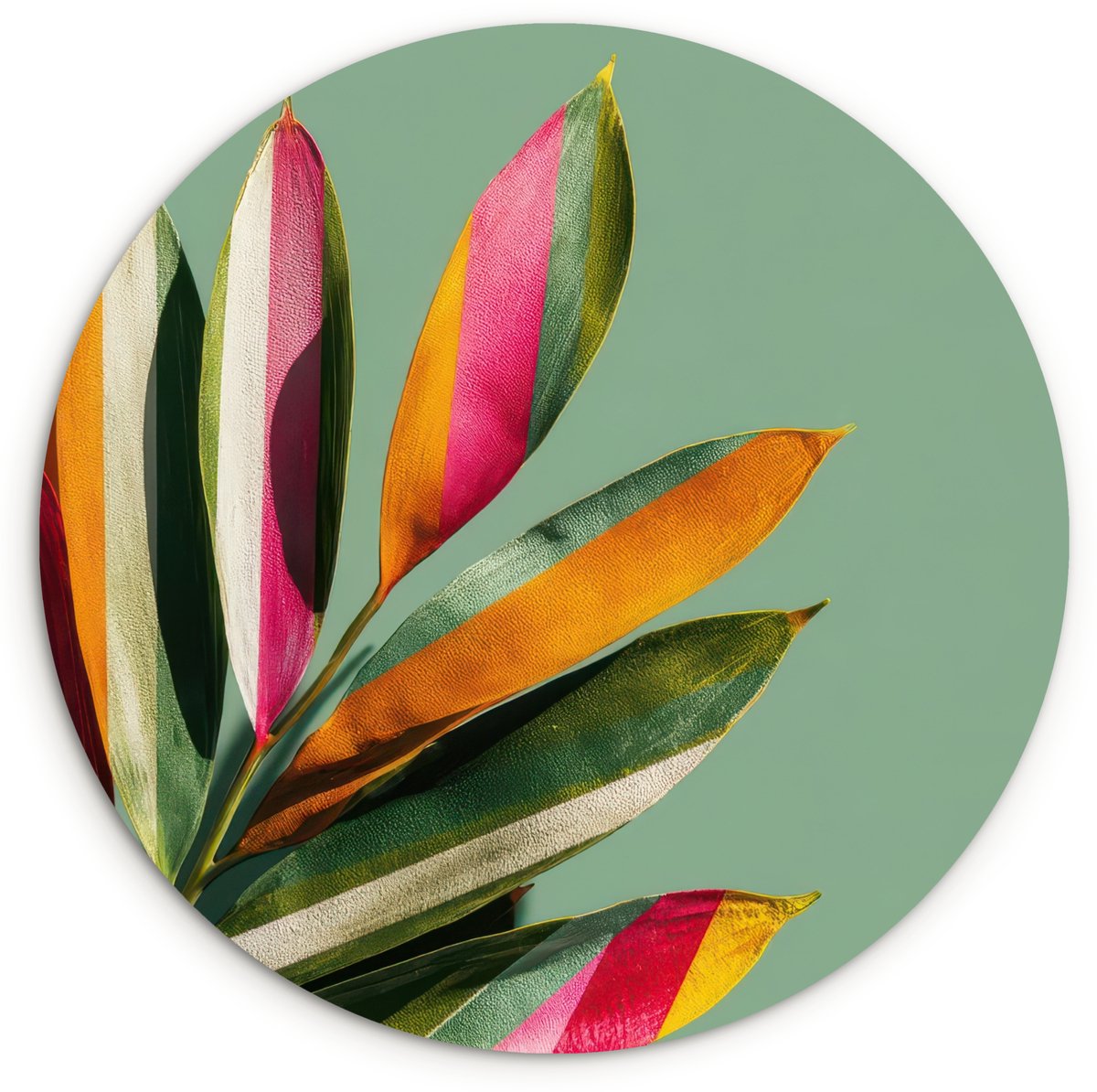 WallCircle Wandcirkel 90x90 cm - Muurcirkel Bladeren - Tak - Kleurrijk - Muurdecoratie woonkamer - Wanddecoratie slaapkamer - Kamer decoratie accessoires - Ronde schilderijen