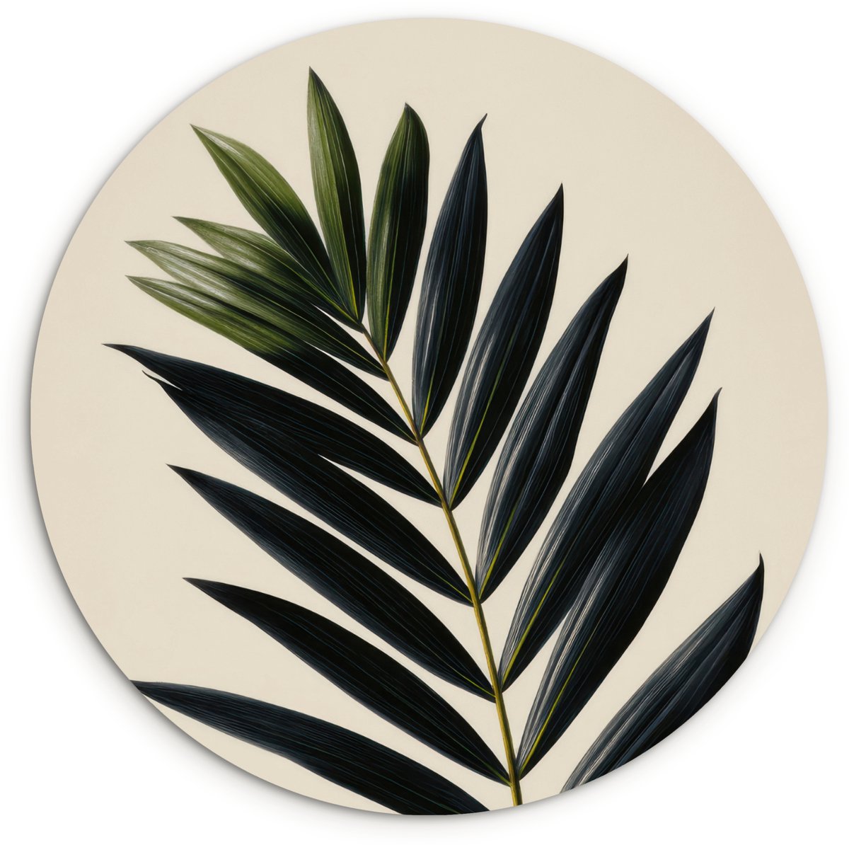 WallCircle Wandcirkel 120x120 cm - Muurcirkel Palmblad - Donkere bladen - Subtiel - Muurdecoratie woonkamer - Wanddecoratie slaapkamer - Kamer decoratie accessoires - Ronde schilderijen Palmblad - Subtiel