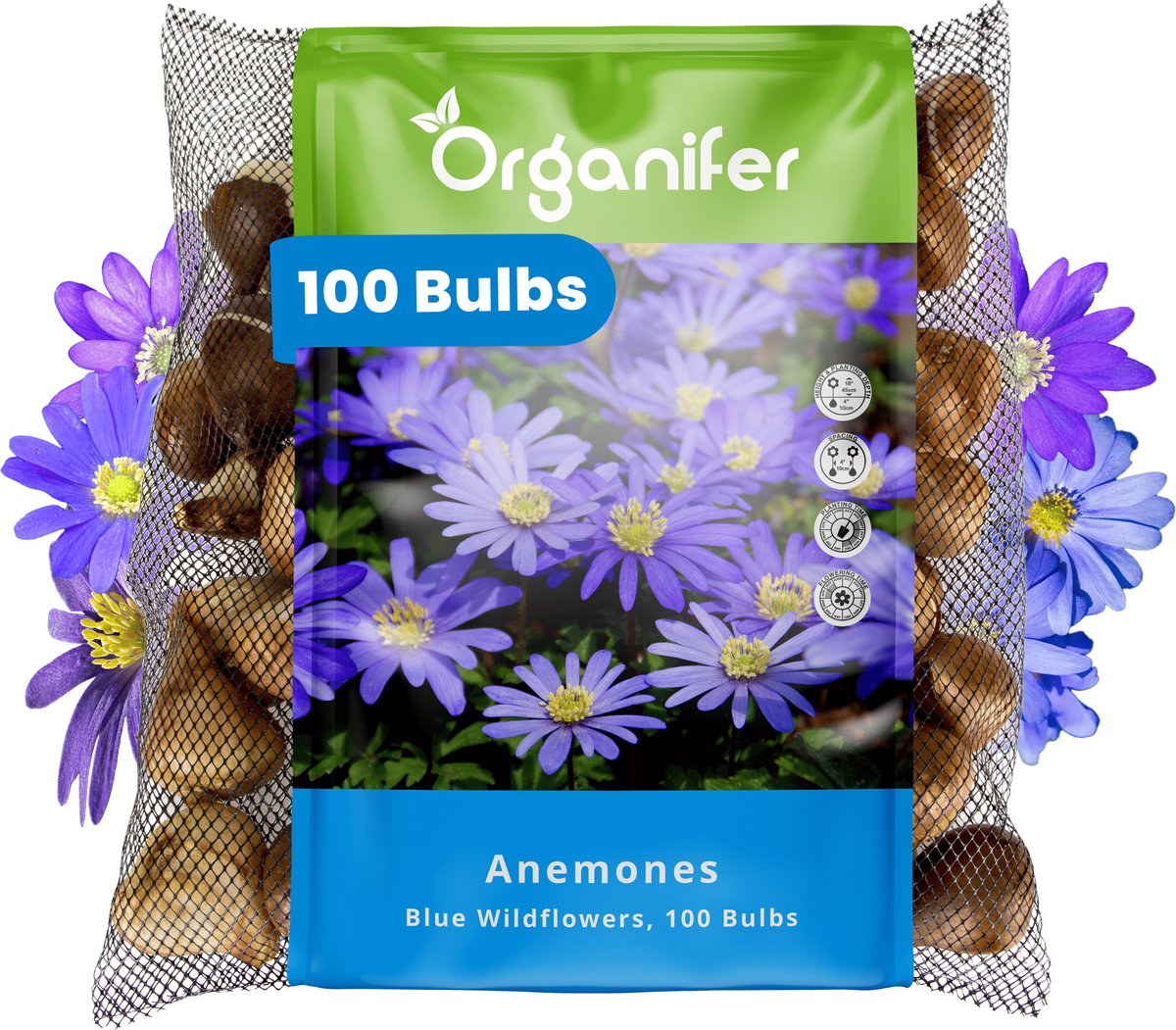 100 Anemone - Anemoonbollen - Blauwe Windbloemen - XXL Bollengrootte 5 cm - Anemonoides oregana - Bloembollen - Zomerbollen - Voorjaarsbollen - Geschikt als snijbloem - Trekt vlinders en bijen aan - Vaste planten - Organifer