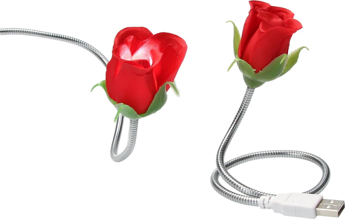 Silly Gifts USB Kabel Roos met Lampje 2 Stuks – USB Lampje – Verlichting USB – Licht – Rood